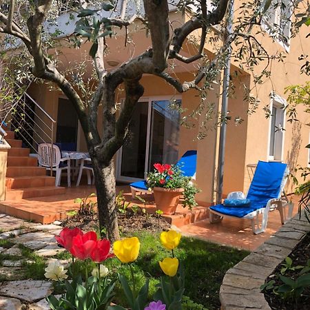 Villa Alexandra 4 Pjescana Uvala Exterior foto