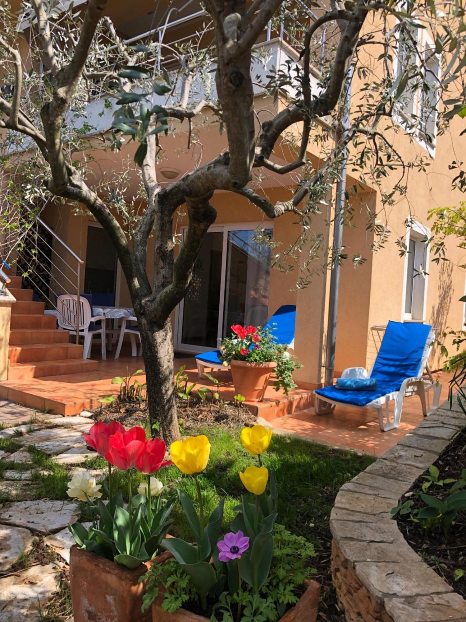 Villa Alexandra 4 Pjescana Uvala Exterior foto